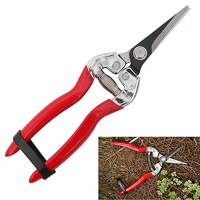 Steel Telescopic Bypass Bonsai Tree Hand Garden Tools Grafting Pruner Scissors Pruning Shears